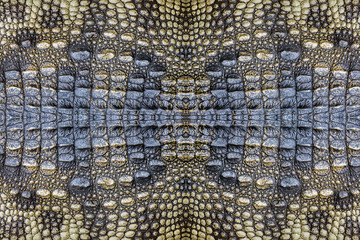 crocodile skin pattern for the background.
