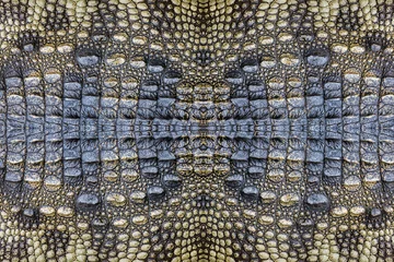 Fotobehang crocodile skin pattern for the background. © MrPreecha