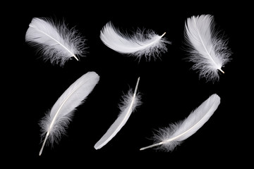 Set of white feathers isolated on black background