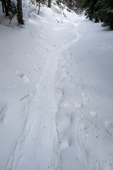 Obraz premium snow covered road