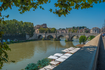 Beautiful view of Sant'Angelo Bridge framed by a tree in Rome, Italy