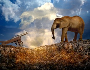 Historic cannon, elephant and a dove on a stonewall over cloudy sky