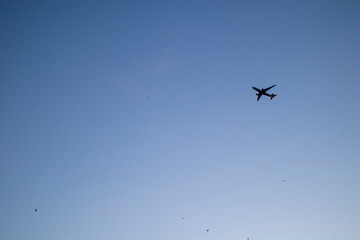 Airplane in the blue sky 