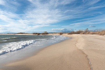 Fototapeta na wymiar Scenic view on sandy beach and sea at daytime.
