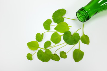 Green glass bottle and green leaves showing zero plastic concept
