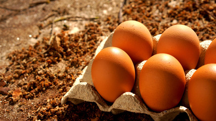 Raw chicken eggs on cement. Brown chicken eggs in carton box, Healthy Food,  organic food.