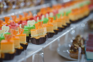 Sweet little desserts cakes in different colors on a plate prepared for the guests of the event.