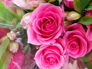 お花屋さんで咲いていたピンクの薔薇の花束