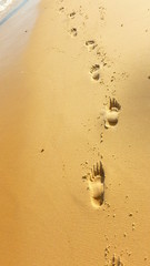 footprints in the sand