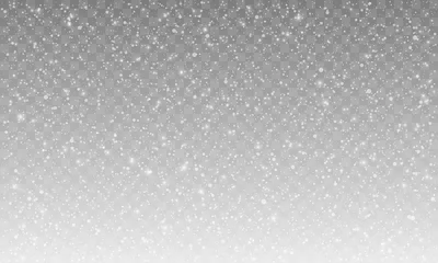 Foto op Aluminium differents realistic falling snow or snowflakes. Isolated on transparent background. © Mykola Mazuryk