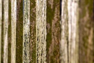 brown wooden slat in close-up