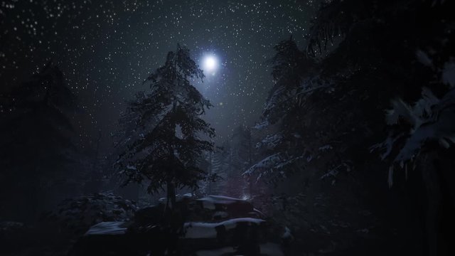 Snowy Winter Forest night. Magical Starry night sky animation. Christmas and new year animated background. Christmas Deer. 