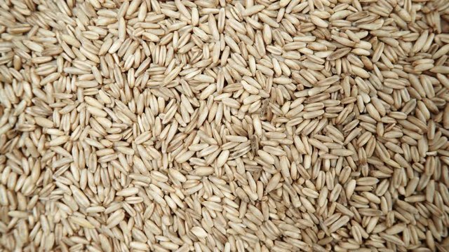 Oat seeds as natural food background. Top view. Healthy diet organic nutrition