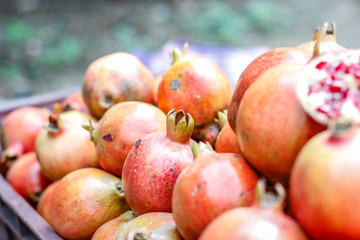 A bunch of whole ripe pomegranates.