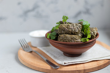 Oriental dish Dolma from grape leaves and minced meat.