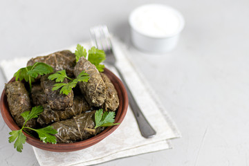 Oriental dish Dolma from grape leaves and minced meat.