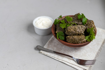 Oriental dish Dolma from grape leaves and minced meat.