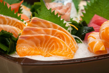 Raw salmon sashimi slice on ice Japanese food