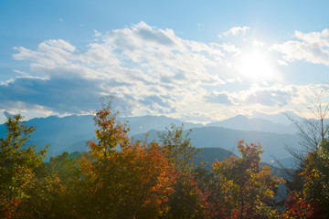 Naklejka premium 高尾山,山頂