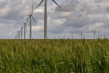 Fototapeta na wymiar Wind Farm in rural South Australia provides green alternative energy