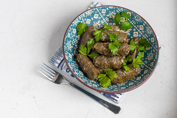 Oriental dish Dolma from grape leaves and minced meat.