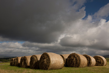 Grass bales on a farm near Thornhill