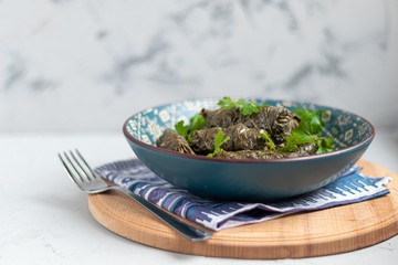 Oriental dish Dolma from grape leaves and minced meat.