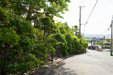 雲雀丘の街並み