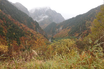 Autumn leave of Kurobe valley (Japan alps / Japanese mountain)