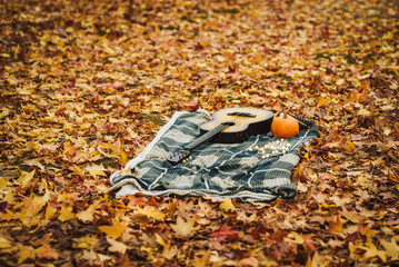 Old guitar on a blanket in an autumn park. Fall background