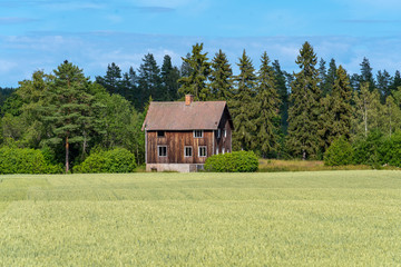 Old abandoned house on the Swedish countryside