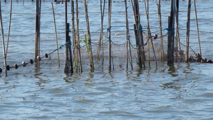albufera