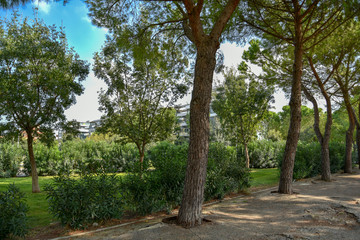 Public Park by Morning in the City With Plants and Trees