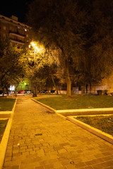 Night Park With Path in the City Illuminated by Lamps