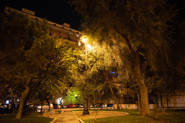 Night Park With Path in the City Illuminated by Lamps