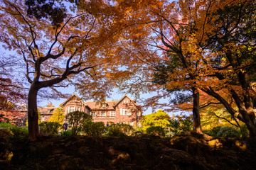 紅葉と洋館