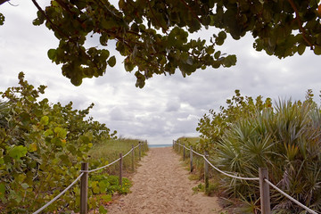 A path leading to the ocean along the beach among lush green vegetation. USA. Florida.
