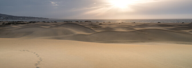 Landscape of Maspalomas Dunes on Gran Canaria, Province of Las Palmas, Canary Islands. 