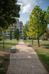 Park by Morning With Plants and Trees
