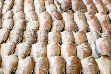 Dried gourami fish lined up for sale to customers in the market.
