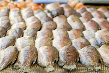 Dried gourami fish lined up for sale to customers in the market.