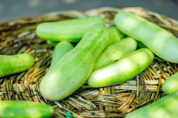 Fresh green cucumber in wooden basket 