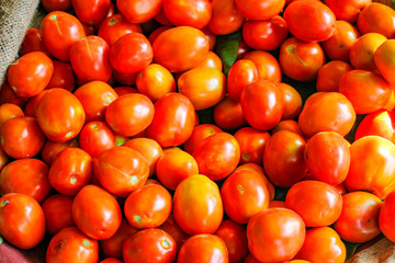 Red tomato bunch in vegetable shop 