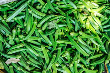 Fresh green okra in vegetable market 