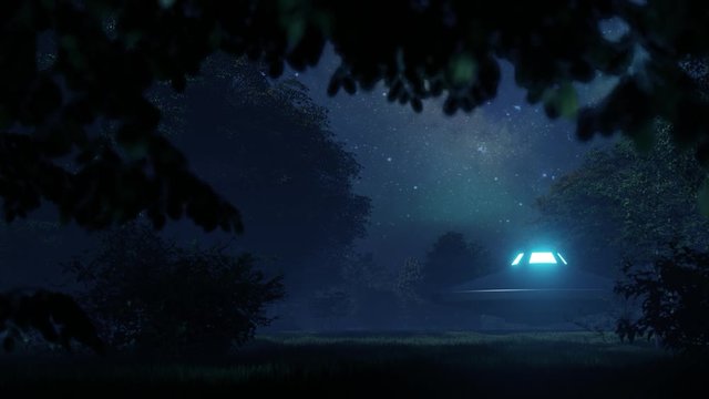 3d. Ufo flew over the wild forest at night	
