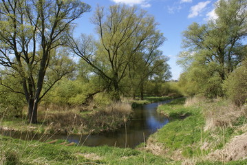 Fototapeta na wymiar Flusslauf Alte Süderelbe