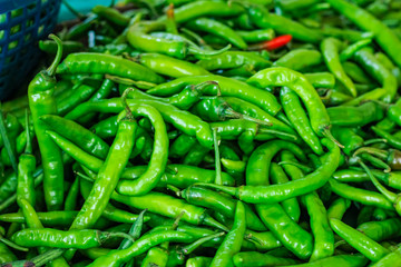 Fresh green chili 