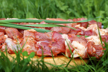 Raw marinated kebab in spices strung on skewers lies on a wooden stand on the green grass. Picnic in nature.