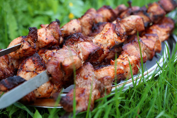  Grilled on coals barbecue on skewers lies on wooden stand on grass. Picnic in wild.