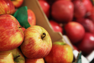 photographie culinaire